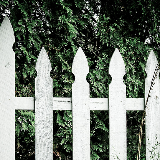 Filling-In-The-Gaps-Dental-Implant-Basics_543