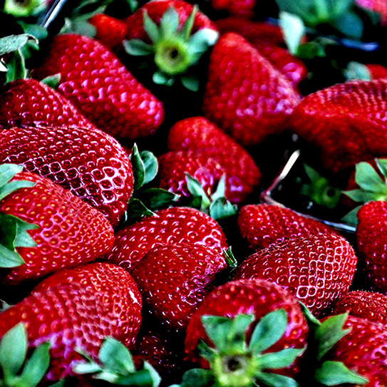 DIY-Teeth-Whitening-Trends-Fact-Or-Fiction_543