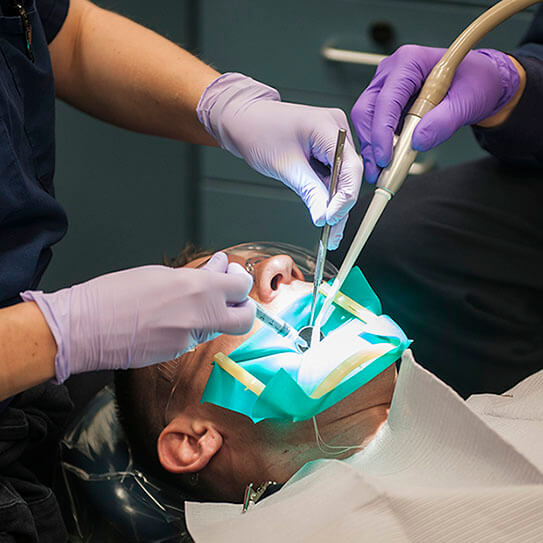 Elevation Endodontics |