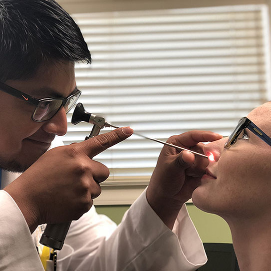 Elevation Endodontics |
