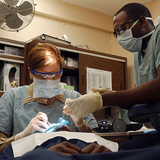 Elevation Endodontics |